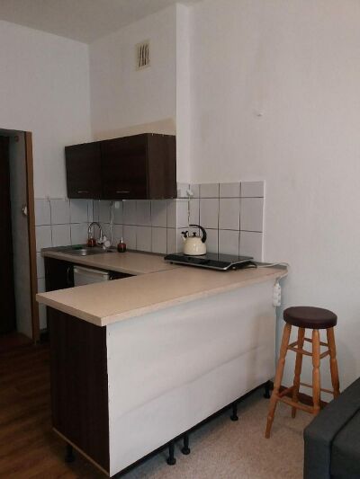 1 pokojowe 20 m2 Polesie CO miejskim do wynajęcia