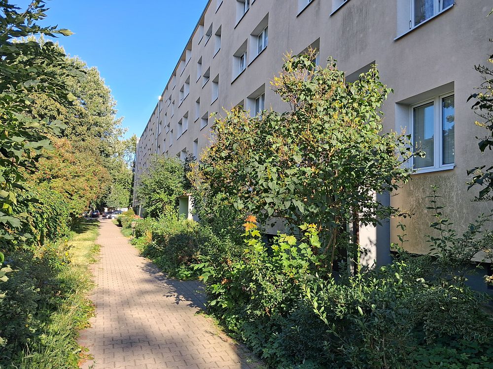 20260812_174023.jpg