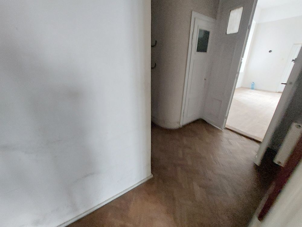 20260917_114238.jpg
