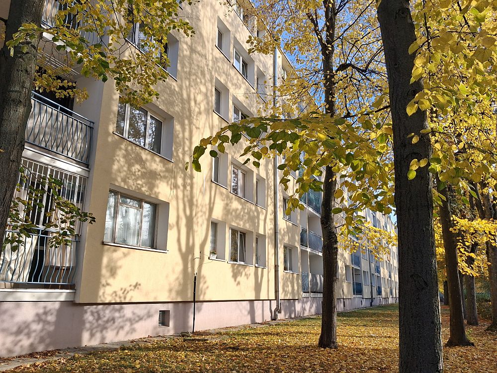 20261021_153532.jpg